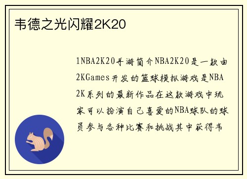 韦德之光闪耀2K20